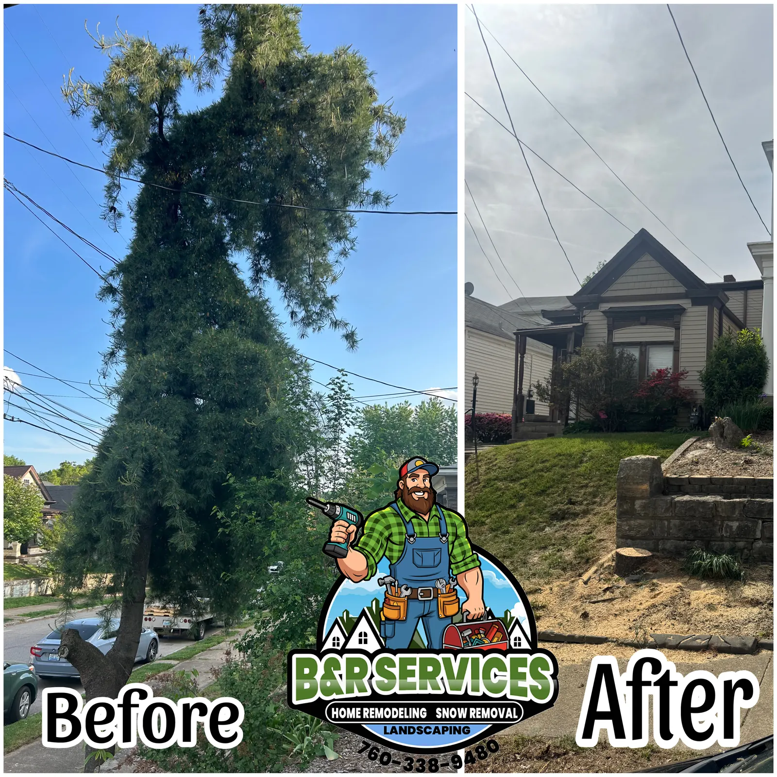 Tree and stump removal before-and-after project in Louisville, Kentucky